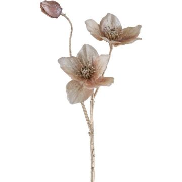 Artificial Christmas rose branch GRIMFAL, beige, 22"/55cm