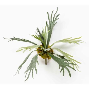 Artificial Hart's-tongue fern CHARLS, spike, green, 20"/50cm, Ø 28"/70cm