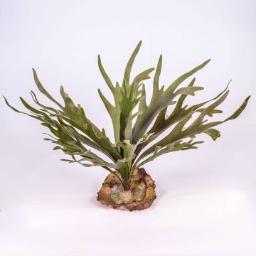 Artificial Hart's-tongue fern CHARLS, spike, green, 20"/50cm, Ø 28"/70cm Artificial Hart's-tongue fern CHARLS, spike, green, 20"/50cm, Ø 28"/70cm