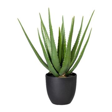 Artificial succulent Aloe vera KRONFA in decorative pot, green, 22"/55cm Artificial succulent Aloe vera KRONFA in decorative pot, green, 22"/55cm