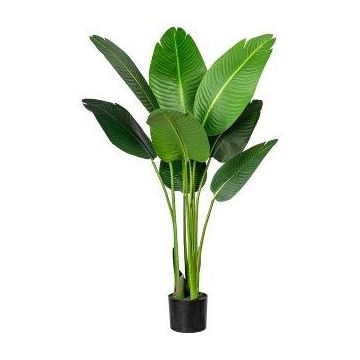 Artificial Strelitzia DREVORA, green, 120cm