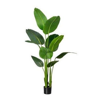 Artificial Strelitzia DREVORA, green, 160cm