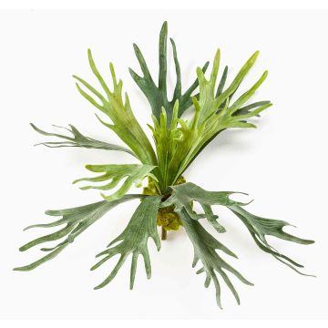 Artificial Hart's-tongue fern CHARLS, spike, green, 18"/45cm, Ø 31"/80cm