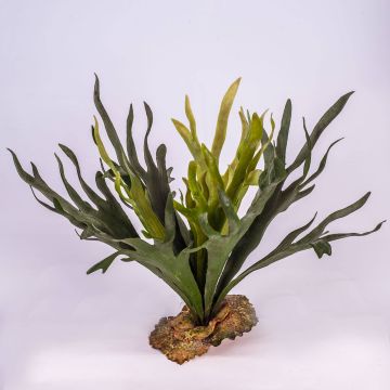 Artificial Hart's-tongue fern CHARLS, spike, green, 18"/45cm, Ø 31"/80cm Artificial Hart's-tongue fern CHARLS, spike, green, 18"/45cm, Ø 31"/80cm