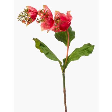 Artificial Medinilla flower NIVARD, coral, 4ft/110cm Artificial Medinilla flower NIVARD, coral, 4ft/110cm