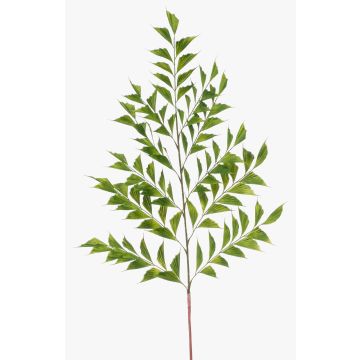 Decorative leaf Fishtail palm MAXIN, 4ft/130cm