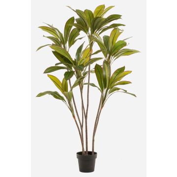 Artificial plant Cordyline MEIKE, artificial stems, decorative pot, green, 5ft/160cm
