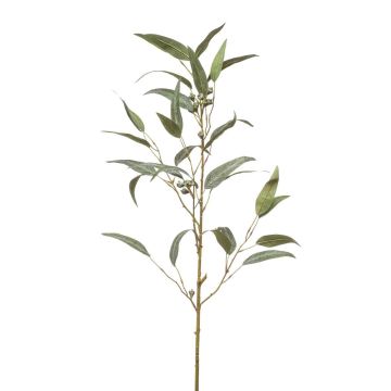 False eucalyptus branch JURKA with fruits, green-grey, 3ft/90cm