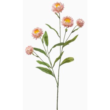 Decorative strawflower branch SNAVIK, pink, 28"/70cm