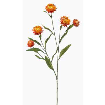 Decorative branch, strawflower SNAVIK, orange, 28"/70cm