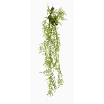 Artificial hanging plant: Asparagus plumosus 'SHALLON' on a branch, green, 4ft/110cm Artificial hanging plant: Asparagus plumosus 'SHALLON' on a branch, green, 4ft/110cm