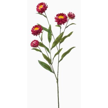 Decorative SNAVIK strawflower branch, fuchsia, 28"/70cm