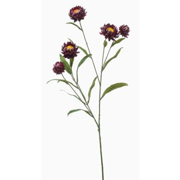 Decorative SNAVIK strawflower branch, purple, 28"/70cm
