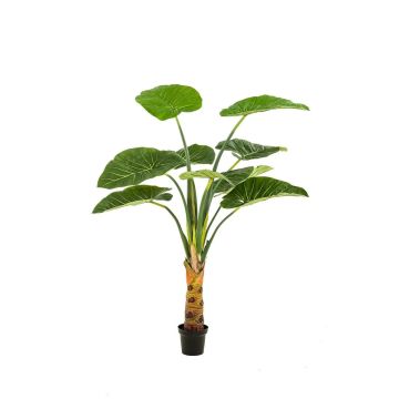 Artificial plant Alocasia Calidora NICAS, decorative pot, green, 5ft/160cm