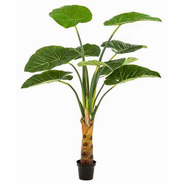 Artificial plant Alocasia Calidora NICAS, decorative pot, green, 5ft/160cm