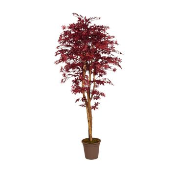 Decorative Japanese maple GORDJUSCHA, real stems, dark red, 4ft/125cm - Made in Italy Decorative Japanese maple GORDJUSCHA, real stems, dark red, 4ft/125cm - Made in Italy