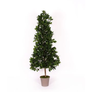 Decorative cherry laurel pyramid KUSJENKA, natural stem, fruits, 4ft/120cm - Made in Italy Decorative cherry laurel pyramid KUSJENKA, natural stem, fruits, 4ft/120cm - Made in Italy
