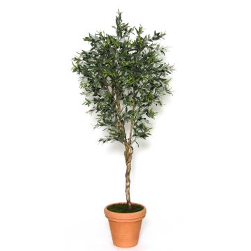 Decorative olive tree LORENZO, real stem, fruits, stoneware pot, 5ft/150cm - Made in Italy