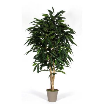 Artificial longifolia MARIANKA, natural stems, green, 4ft/125cm - Made in Italy Artificial longifolia MARIANKA, natural stems, green, 4ft/125cm - Made in Italy