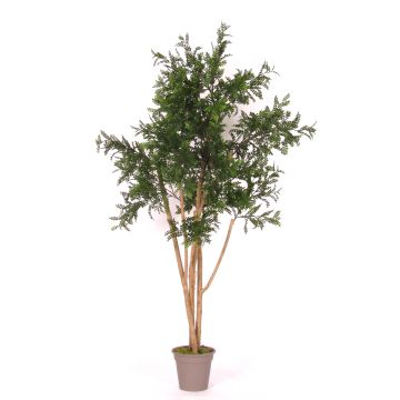 Artificial acacia ANDRIY with real stems, crossdoor, green, 5ft/150cm - Made in Italy
