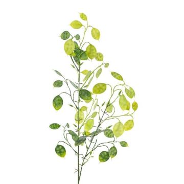 Artificial branch Honesty DRULMI, green, 30"/75cm Artificial branch Honesty DRULMI, green, 30"/75cm