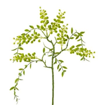 Artificial branch Mimosa KRAVEL with buds, hanging, green, 24"/60cm