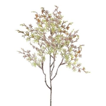 Artificial branch Asparagus sprengeri GRUMEL, frosted, green-brown-white, 26"/65cm