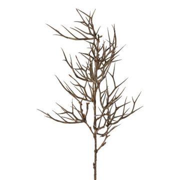 Artificial branch Christ's thorn SPROLI, brown, 28"/70cm