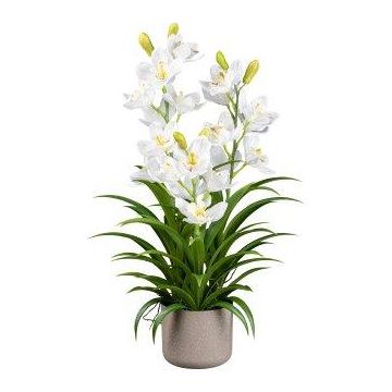 Plastic flower Cymbidium orchid CANFOL, melamine planter, roots, white, 28"/70cm Plastic flower Cymbidium orchid CANFOL, melamine planter, roots, white, 28"/70cm