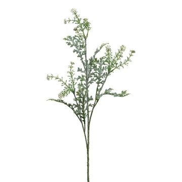 Decorative branch Silver ragwort KRANVE with flowers, grey-green, 24"/60cm