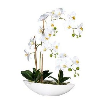 Artificial Phalaenopsis orchid JELTRON, ceramic bowl, roots, white, 24"/60cm