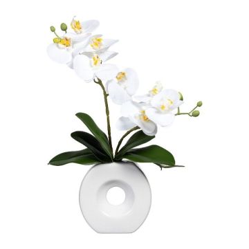 Artificial Phalaenopsis orchid DRELMOR, ceramic vase, roots, white, 14"/35cm