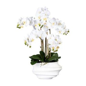 Artificial Phalaenopsis orchid ZALBROK, white decorative vase, roots, white, 30"/75cm