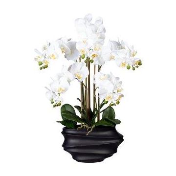 Artificial Phalaenopsis orchid ZALBROK, black decorative vase, roots, white, 30"/75cm