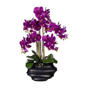 Artificial Phalaenopsis orchid ZALBROK, black decorative vase, roots, purple, 30"/75cm Artificial Phalaenopsis orchid ZALBROK, black decorative vase, roots, purple, 30"/75cm