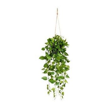 Artificial philodendron scandens hanging basket BLURA, decorative pot, 30"/75cm