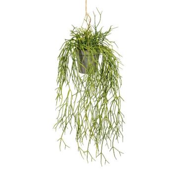 Artificial rhipsalis hanging basket SKRAKY, decorative pot, green, 24"/60cm
