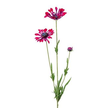 Decorative branch Marguerite NIELAY, burgundy red, 26"/65cm