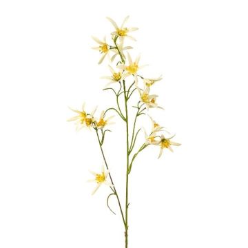 Decorative branch, Tweedia solanoides 'ZORHIL', metallic yellow, 30"/75cm