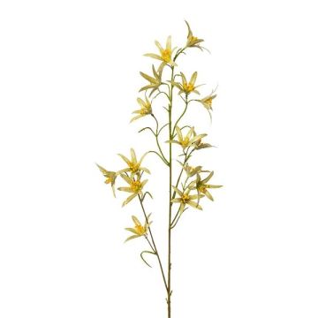 Decorative branch, Tweedia solanoides ZORHIL, metallic green, 30"/75cm