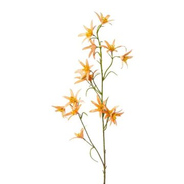 Decorative branch Tweedia solanoides ZORHIL, metallic orange, 30"/75cm