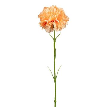 Decorative flower Carnation ZENDIA, apricot, 18"/45cm Decorative flower Carnation ZENDIA, apricot, 18"/45cm