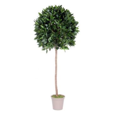 Artificial cherry laurel ball JUROTSCHKA, real stem, fruits, 5ft/150cm, Ø55cm - Made in Italy Artificial cherry laurel ball JUROTSCHKA, real stem, fruits, 5ft/150cm, Ø55cm - Made in Italy