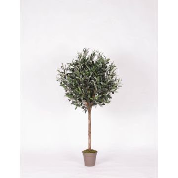 Decorative olive tree MILINO, natural stem, with fruits, 4ft/125cm - Made in Italy