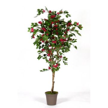 Fake bougainvillea ISMUNDE, real stem, flowers, fuchsia, 5ft/150cm - Made in Italy