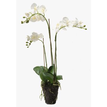 Silk phalaenopsis PABLA soil ball, white, 28"/70cm, Ø3.1"-4"/8-10cm
