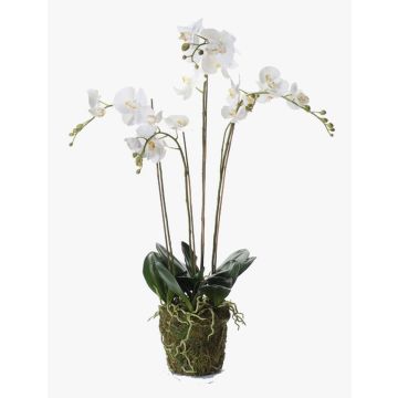 Silk phalaenopsis PABLA moss ball, white, 3ft/90cm, Ø4"-5"/10-13cm
