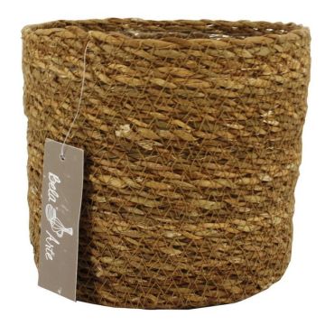 Flower basket AMPARO, seagrass, beige, 4.9"/12,5cm, Ø5.5"/14cm Flower basket AMPARO, seagrass, beige, 4.9"/12,5cm, Ø5.5"/14cm