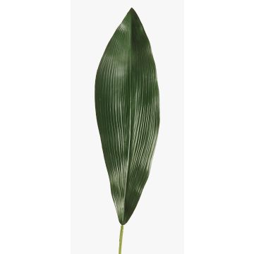 Fake Aspidistra leaf PAISA, 30"/75cm