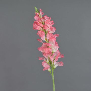 Artificial flower Snapdragon FOLET, pink, 3ft/100cm Artificial flower Snapdragon FOLET, pink, 3ft/100cm